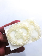 Loofah Soap